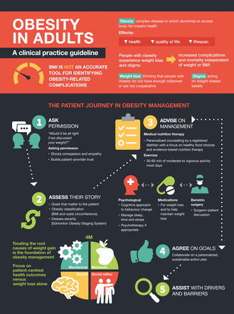 Infographic depicting the patient journey in obesity management.